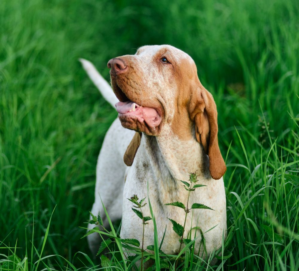 The Gossip Column, August 27, 2021